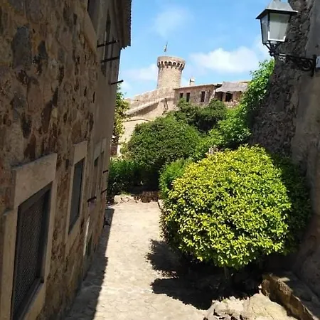 Sant Jordi Santiago * Tossa de Mar